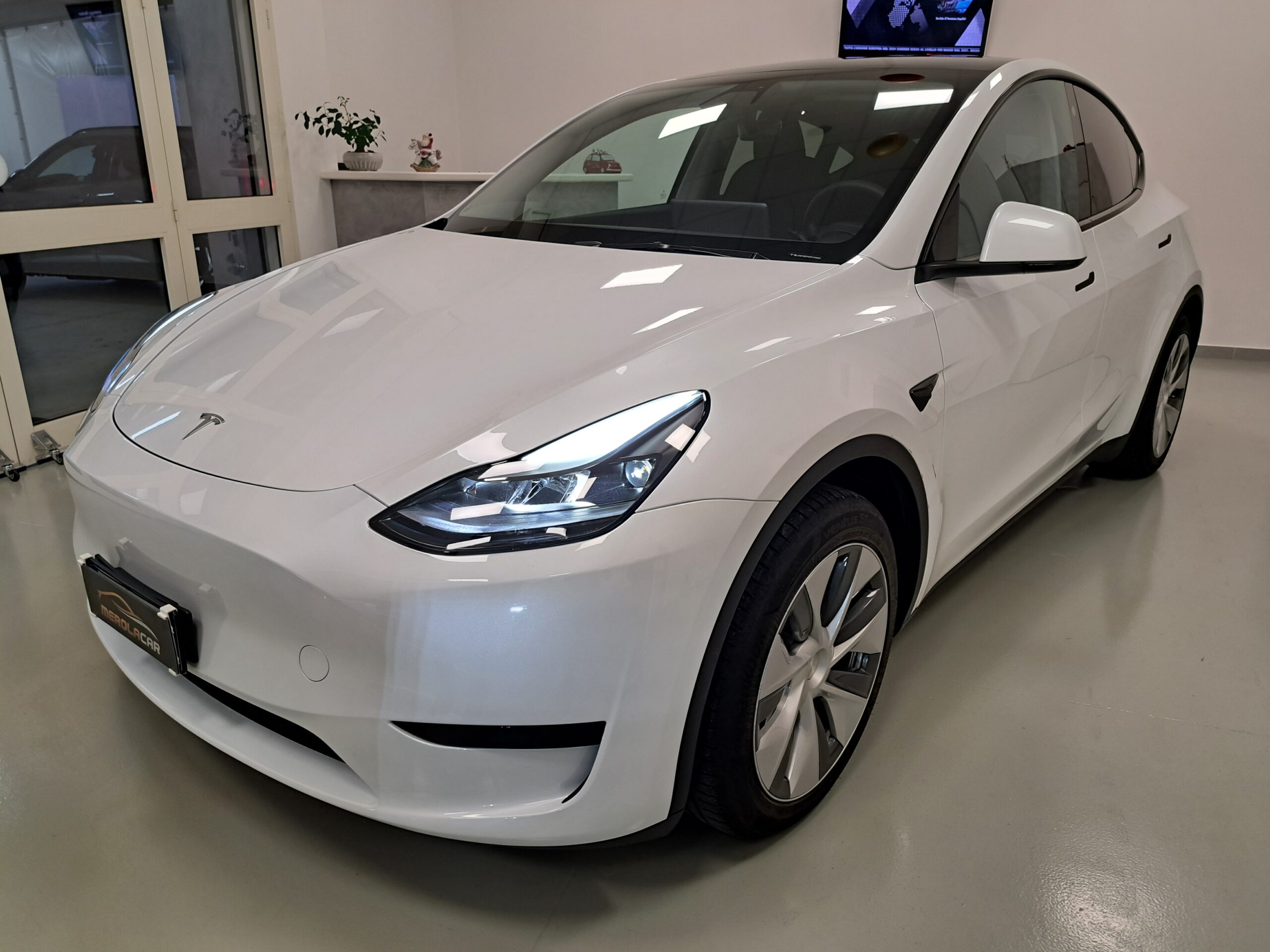 Tesla Model Y Single Motor rwd